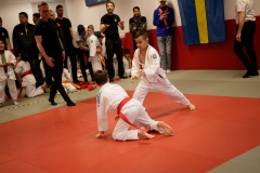 SK24-1-093