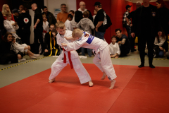 SK24-1-099