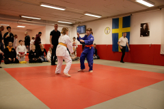 SK24-1-106
