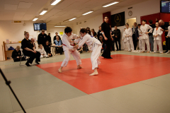 SK24-1-113