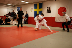 SK24-1-117