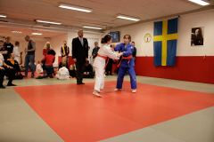 SK24-1-133