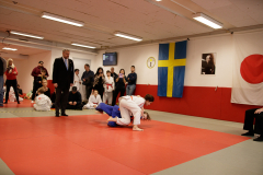 SK24-1-136