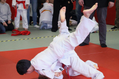 SK24-1J-005