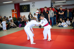 SkHt25-032