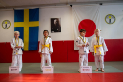 SkHt25-043