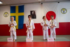 SkHt25-050