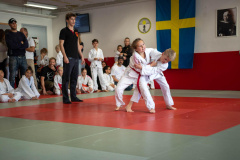 SkHt25-057