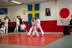 SkHt25-061