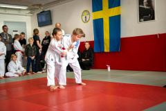 SkHt25-072