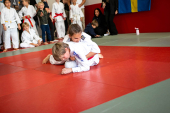 SkHt25-074