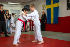 SkHt25-078