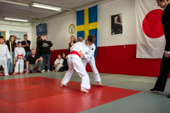 SkHt25-079