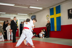 SkHt25-085