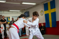 SkHt25-086