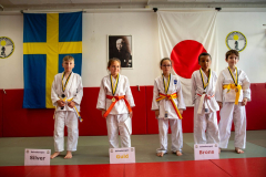 SkHt25-091