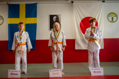 SkHt25-096