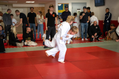 SkHt25-101