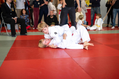 SkHt25-102