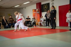 SkHt25-103