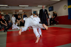 SkHt25-109