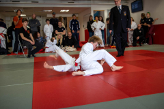 SkHt25-110
