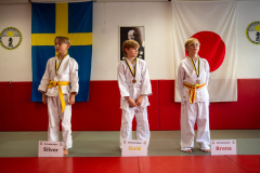 SkHt25-117