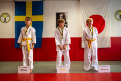 SkHt25-118