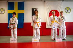 SkHt25-119