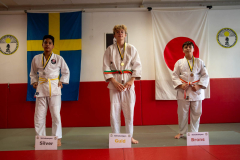 SkHt25-121